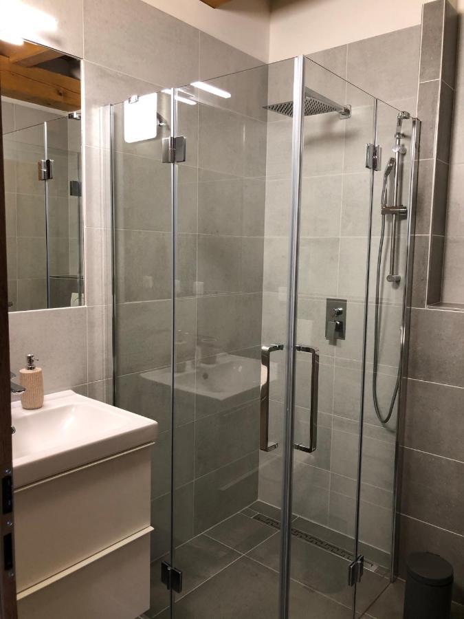 Anico Apartmany Dolni Benesov Dış mekan fotoğraf