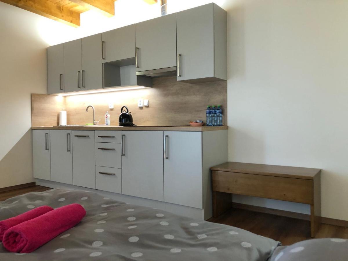 Anico Apartmany Dolni Benesov Dış mekan fotoğraf