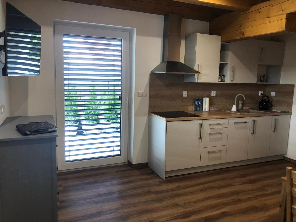 Anico Apartmany Dolni Benesov Dış mekan fotoğraf