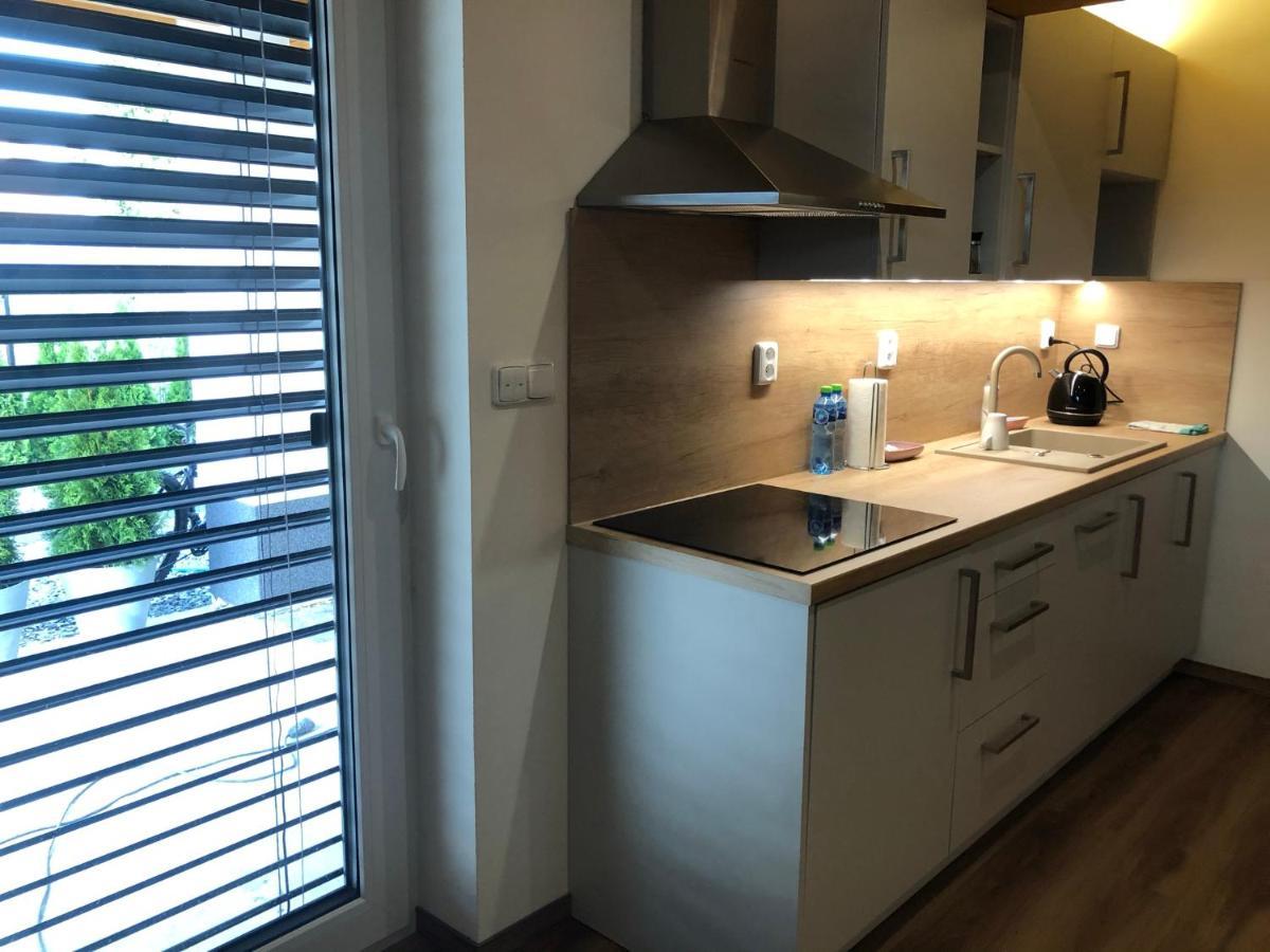 Anico Apartmany Dolni Benesov Dış mekan fotoğraf
