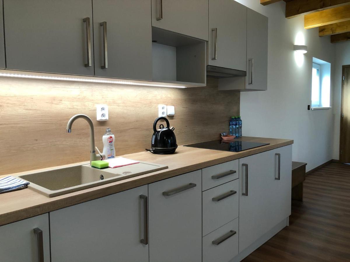 Anico Apartmany Dolni Benesov Dış mekan fotoğraf