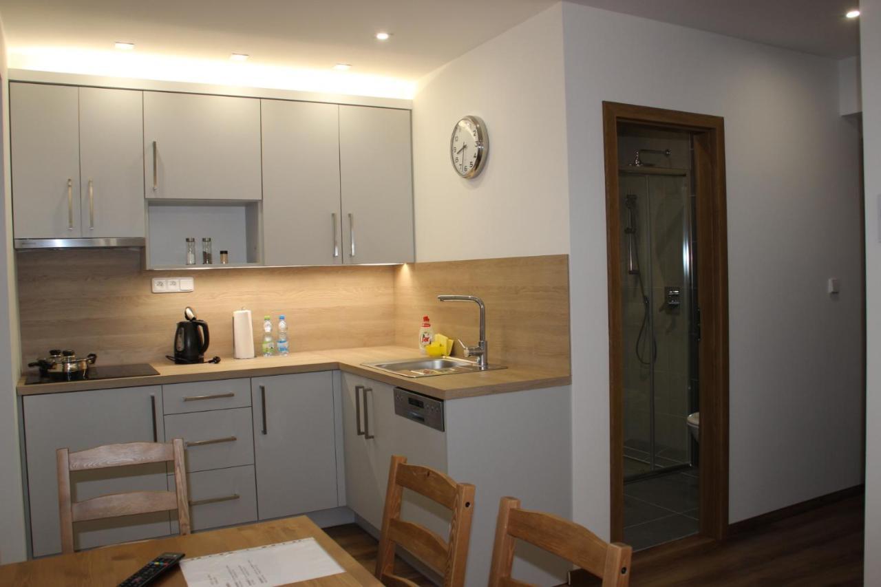 Anico Apartmany Dolni Benesov Dış mekan fotoğraf