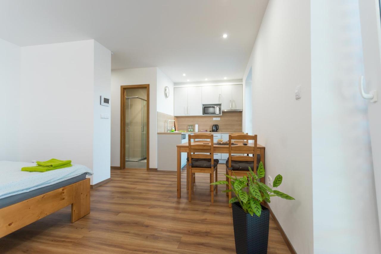 Anico Apartmany Dolni Benesov Dış mekan fotoğraf